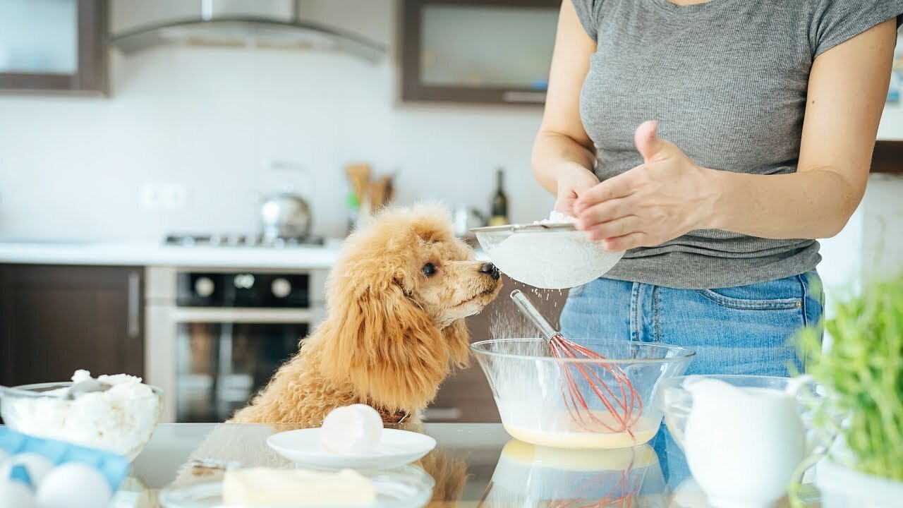 is baking soda safe for dog