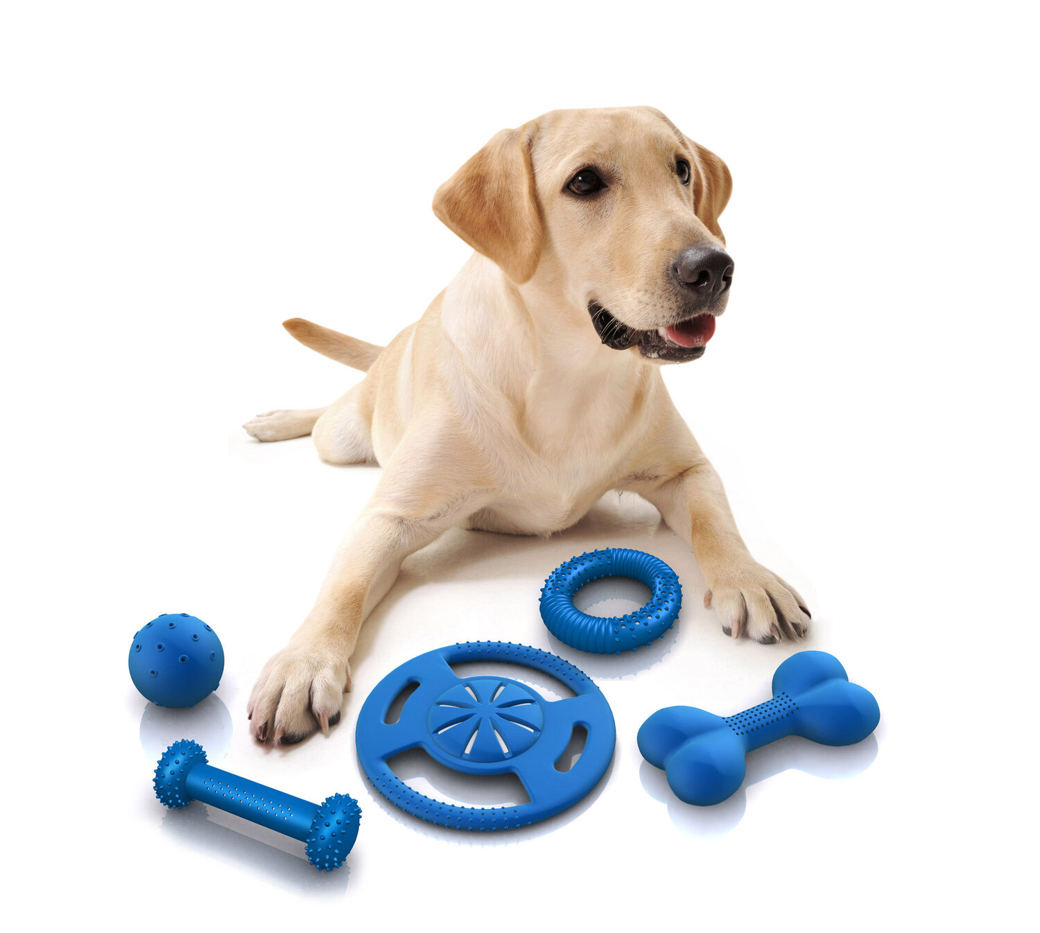 Choosing the Right Dog Toy: A Guide for Pet Parents