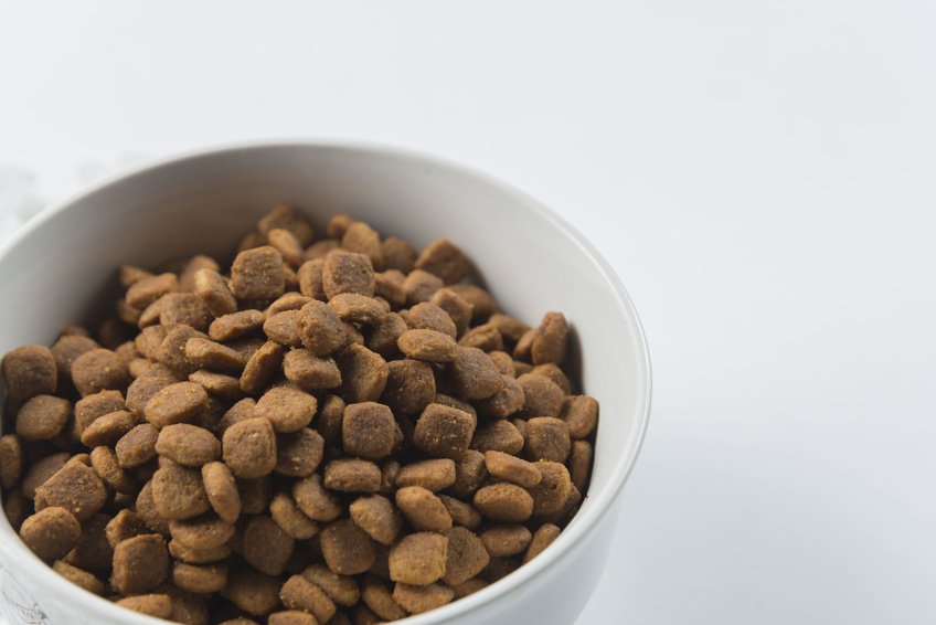 Natural Balance Dog Food Puppy Pure Balance Chicken Rice Puppy Recipe Puppy  Dog Food (5 Lb
