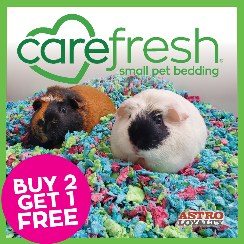 Carefresh | Buy 2, Get 1 FREE on Small Bags of Bedding. Offer Valid 02/10/2024 to 07/31/2024