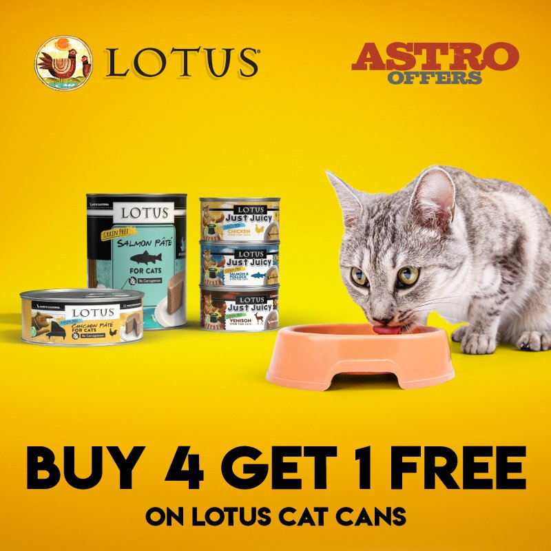 LOTUS | Buy 4, Get 1 FREE on Cat Cans