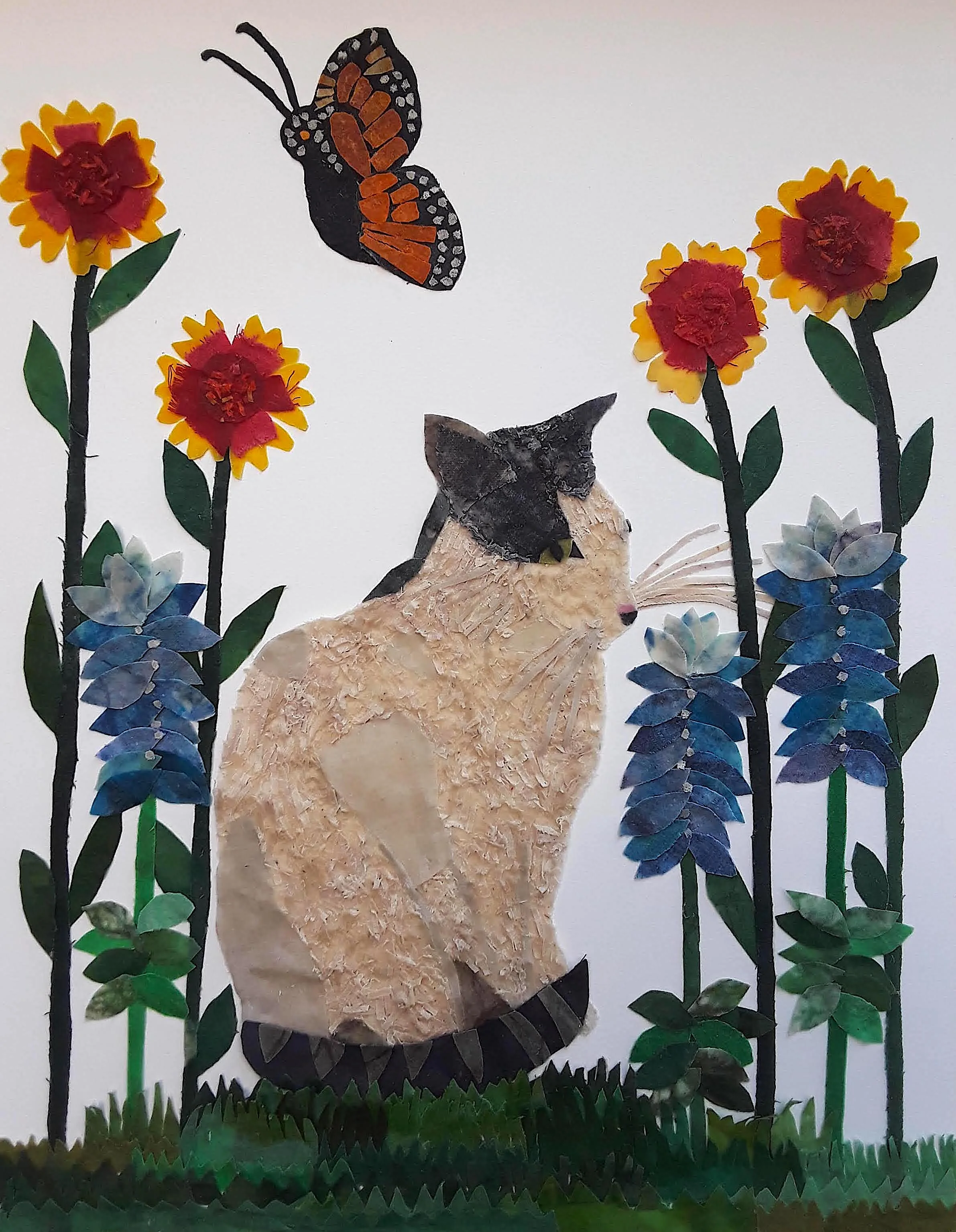 Señor, 2019
