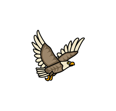 An eagle
