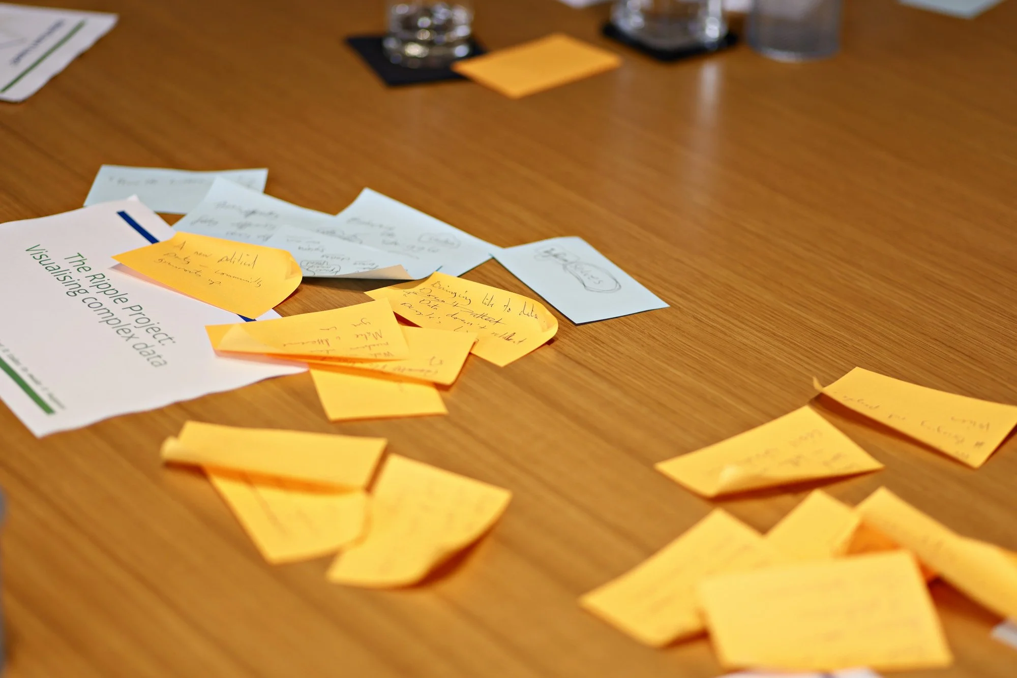 CHEX-26.02.26_0733.JPG