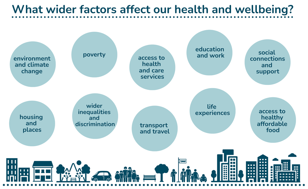 Health inequalities and the social determinants of health — CHEX