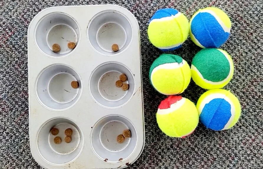 Screenshot_20230131_134937_Video Editor.jpg