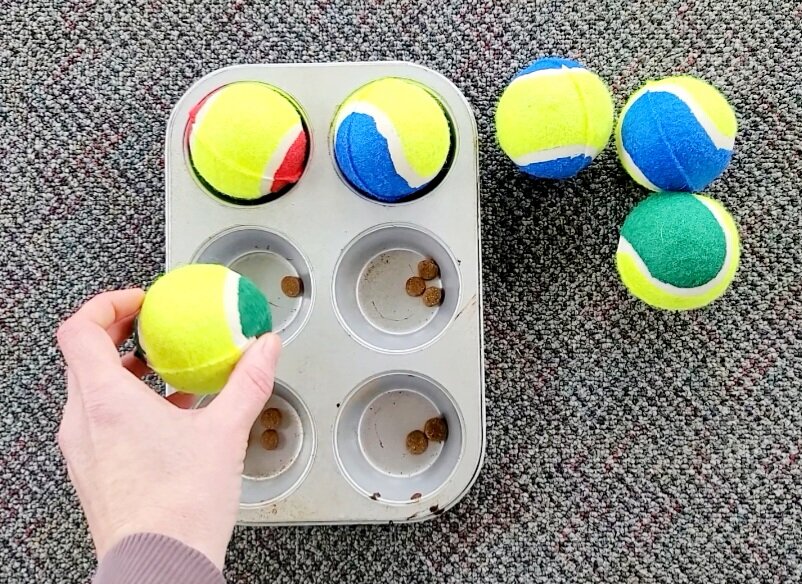 Screenshot_20230131_134953_Video Editor.jpg