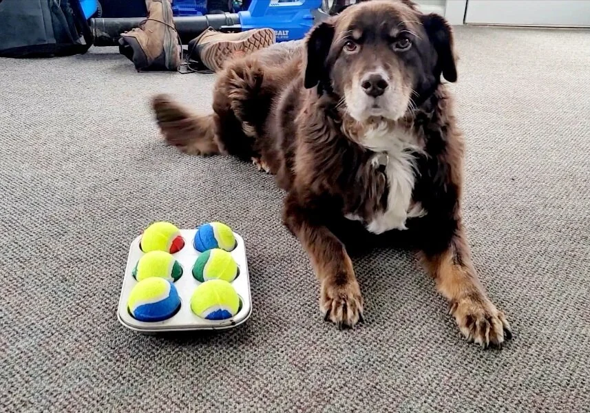 Screenshot_20230131_135216_Video Editor.jpg