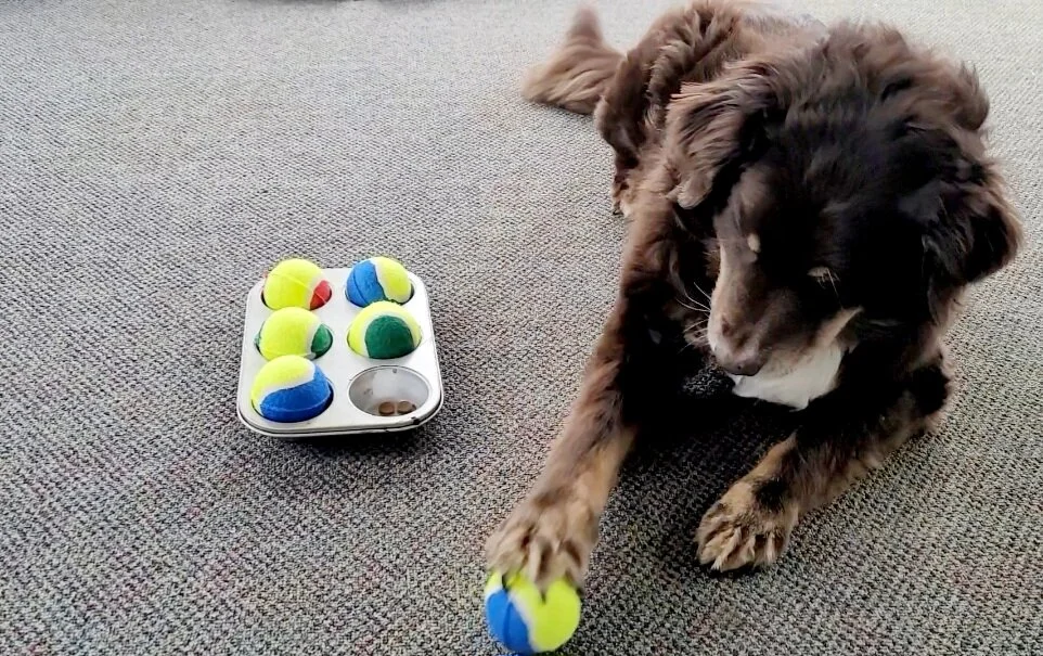 Screenshot_20230131_135456_Video Editor.jpg