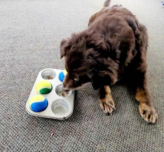 Screenshot_20230131_135555_Video Editor.jpg