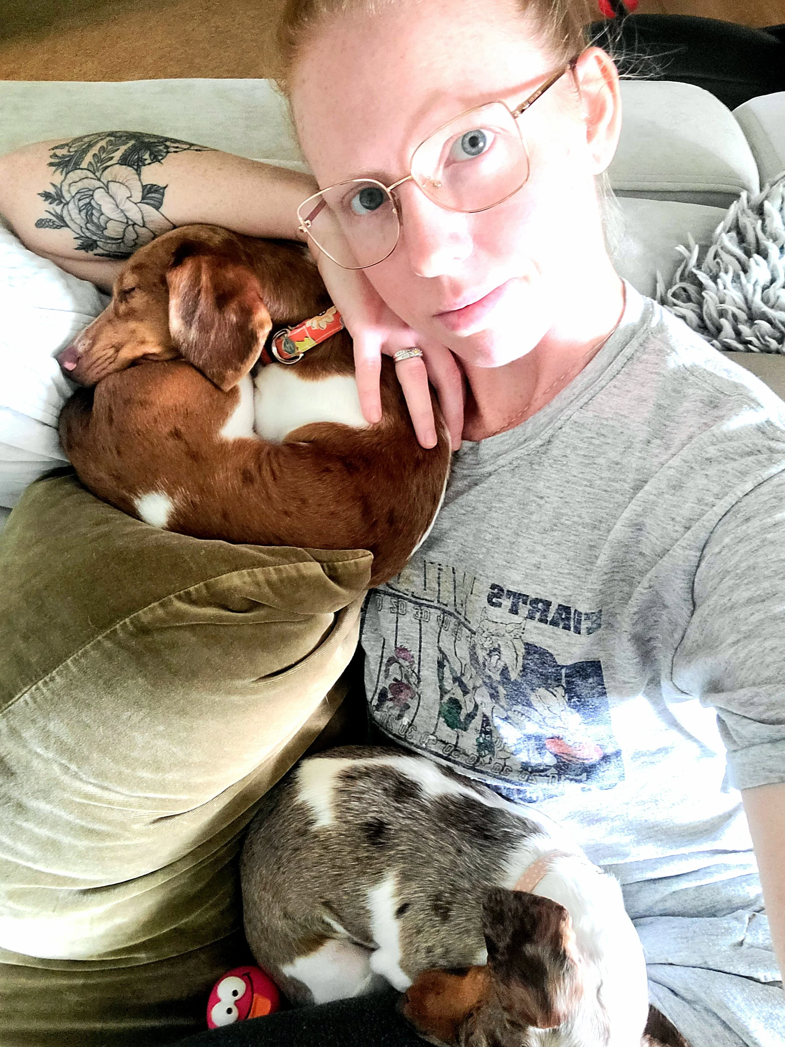 What Have You Learned? 