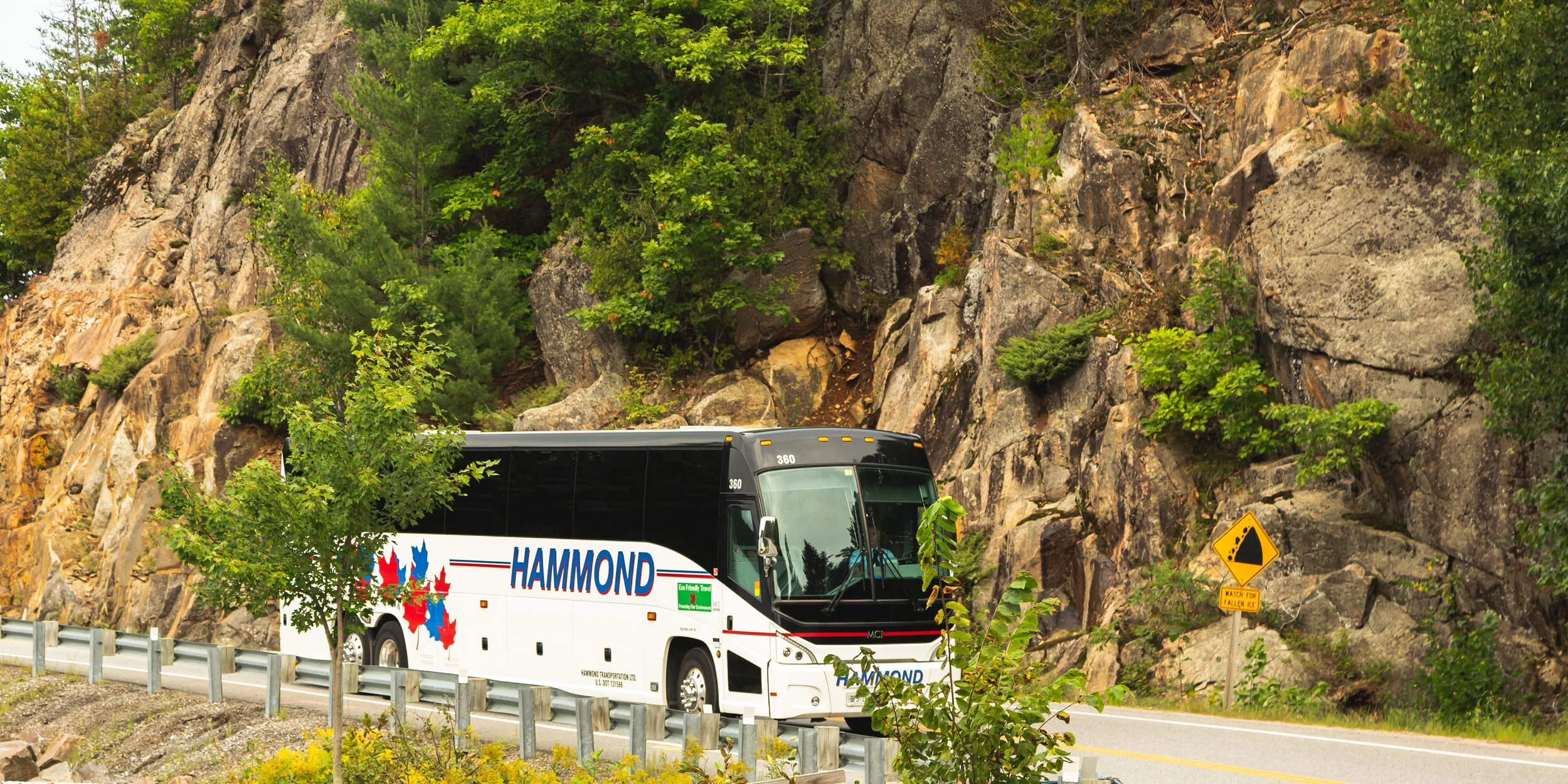 116A8550-Edit.jpg