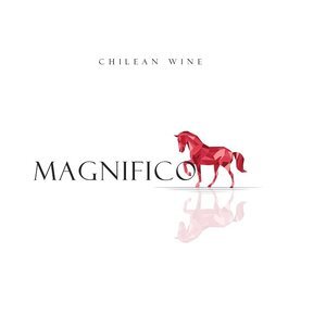 Magnifco
