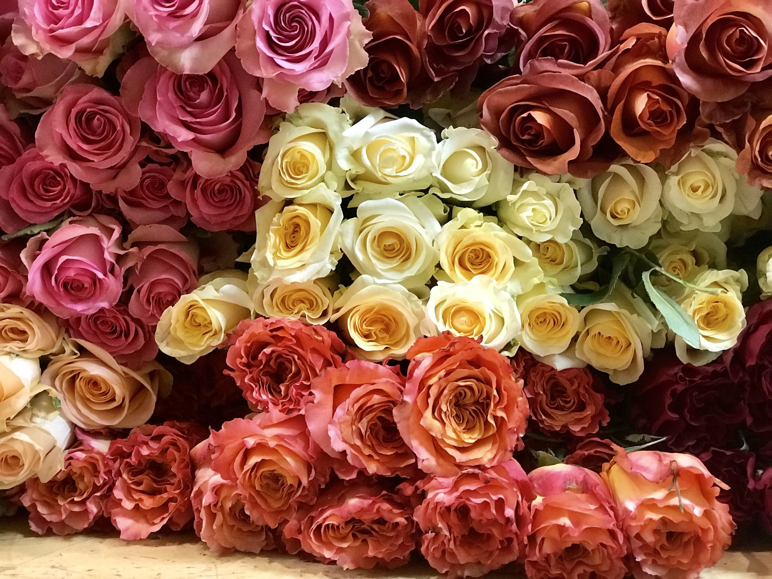 Getting ready for Valentine's Day Part 2