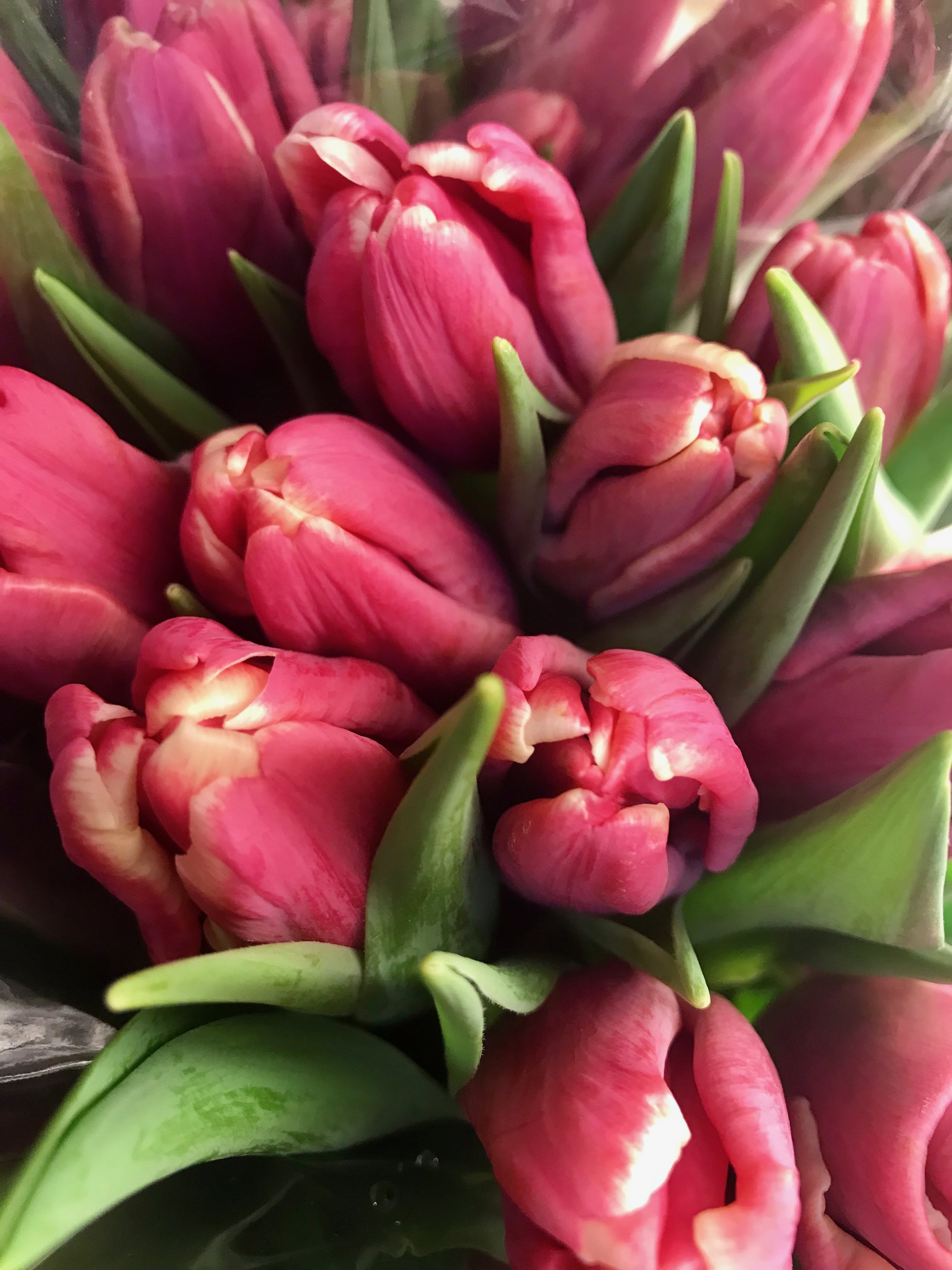 Blog Post — What's New - Croton Florist — Upper Village Blooms