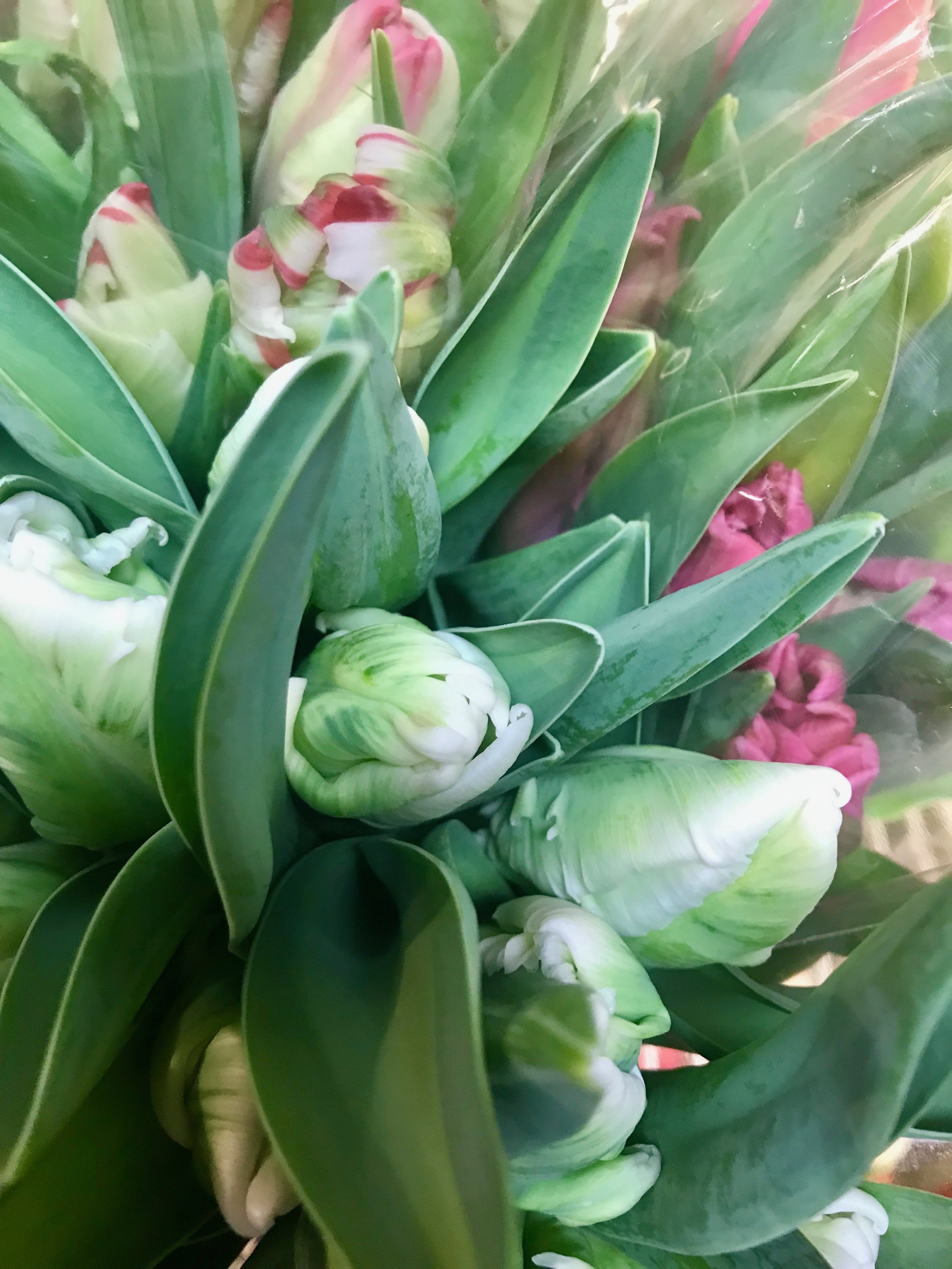 Blog Post — What's New - Croton Florist — Upper Village Blooms
