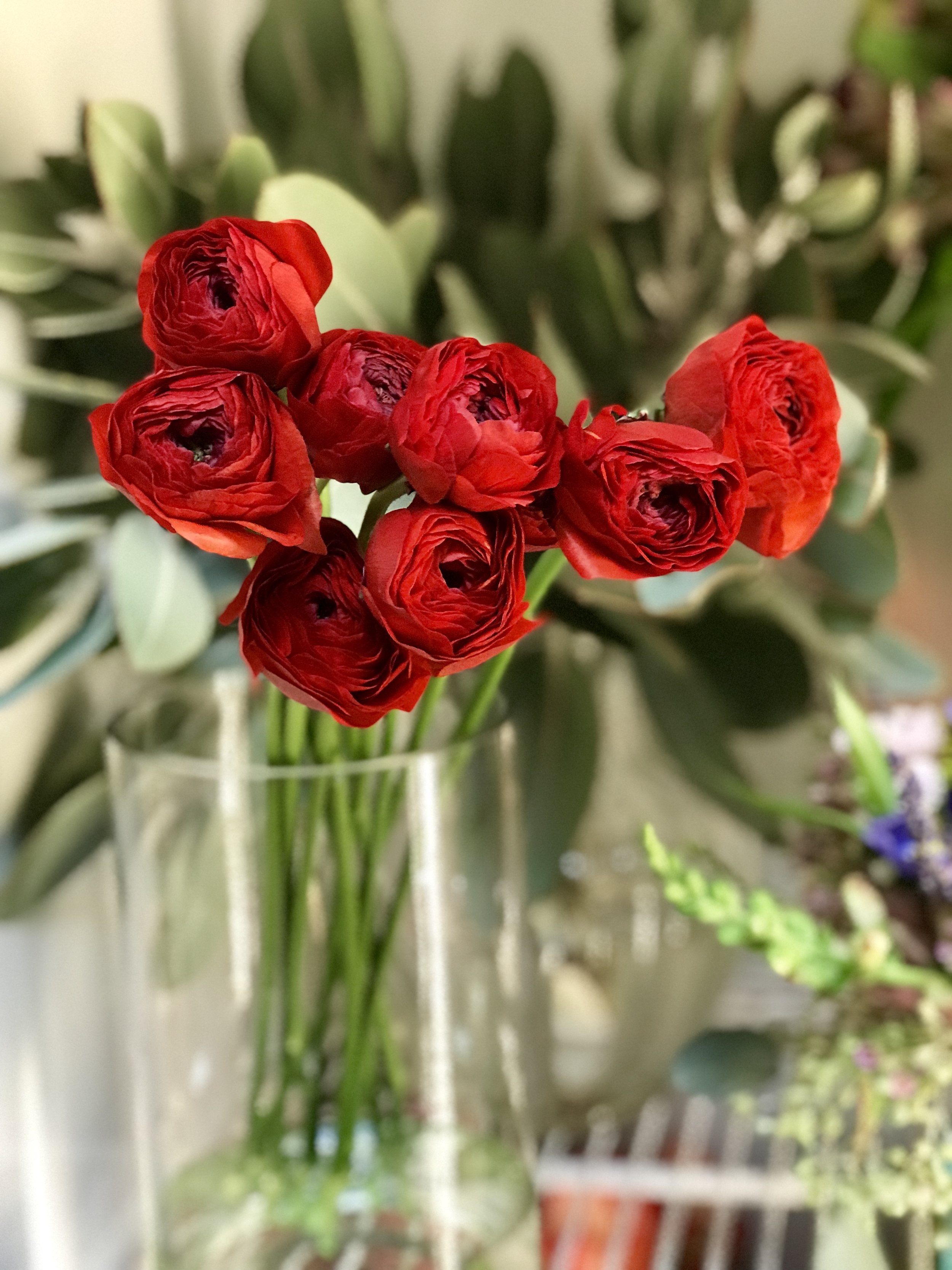 Ranunculus