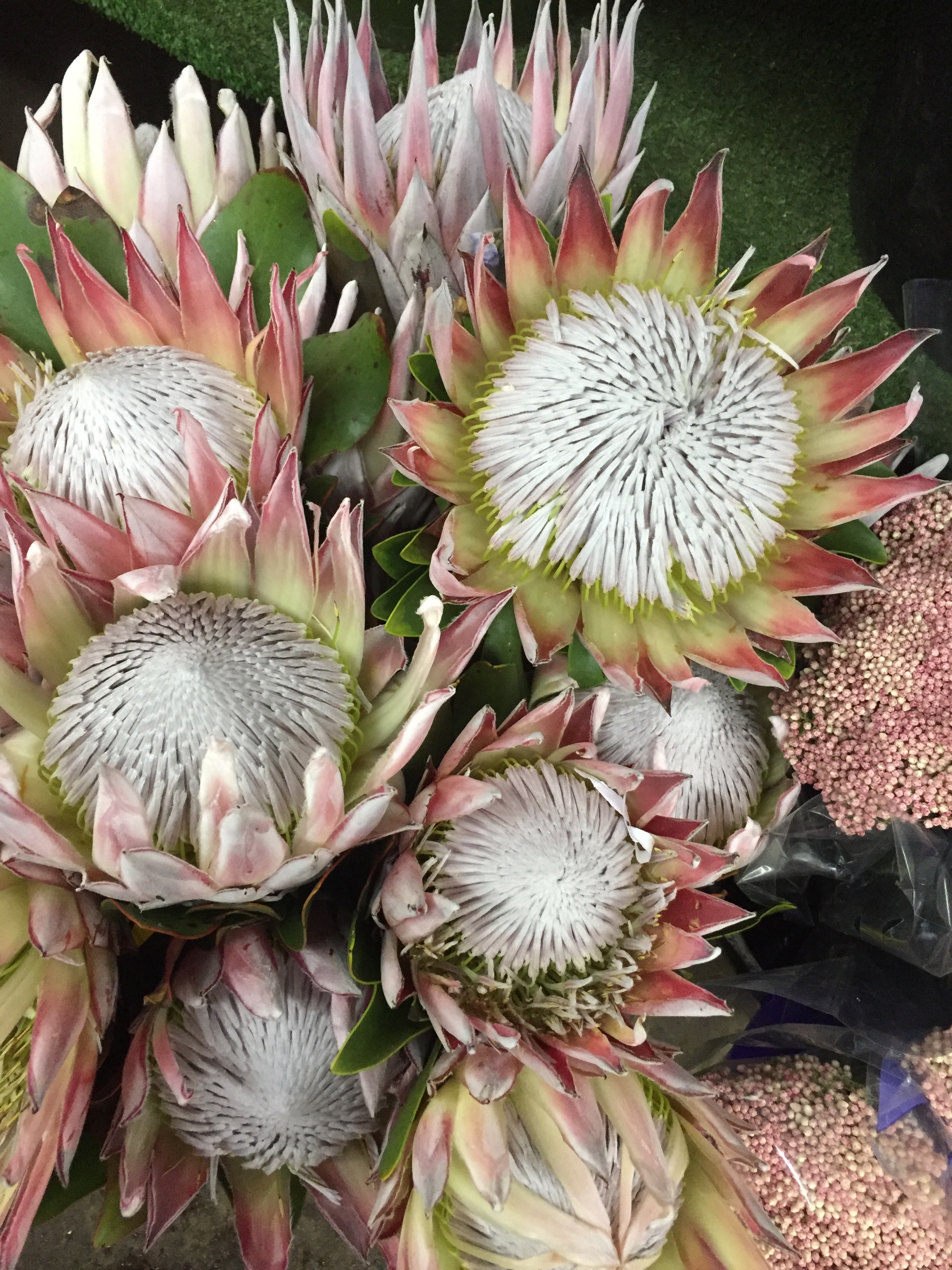 @uppervillageblooms on Social Media