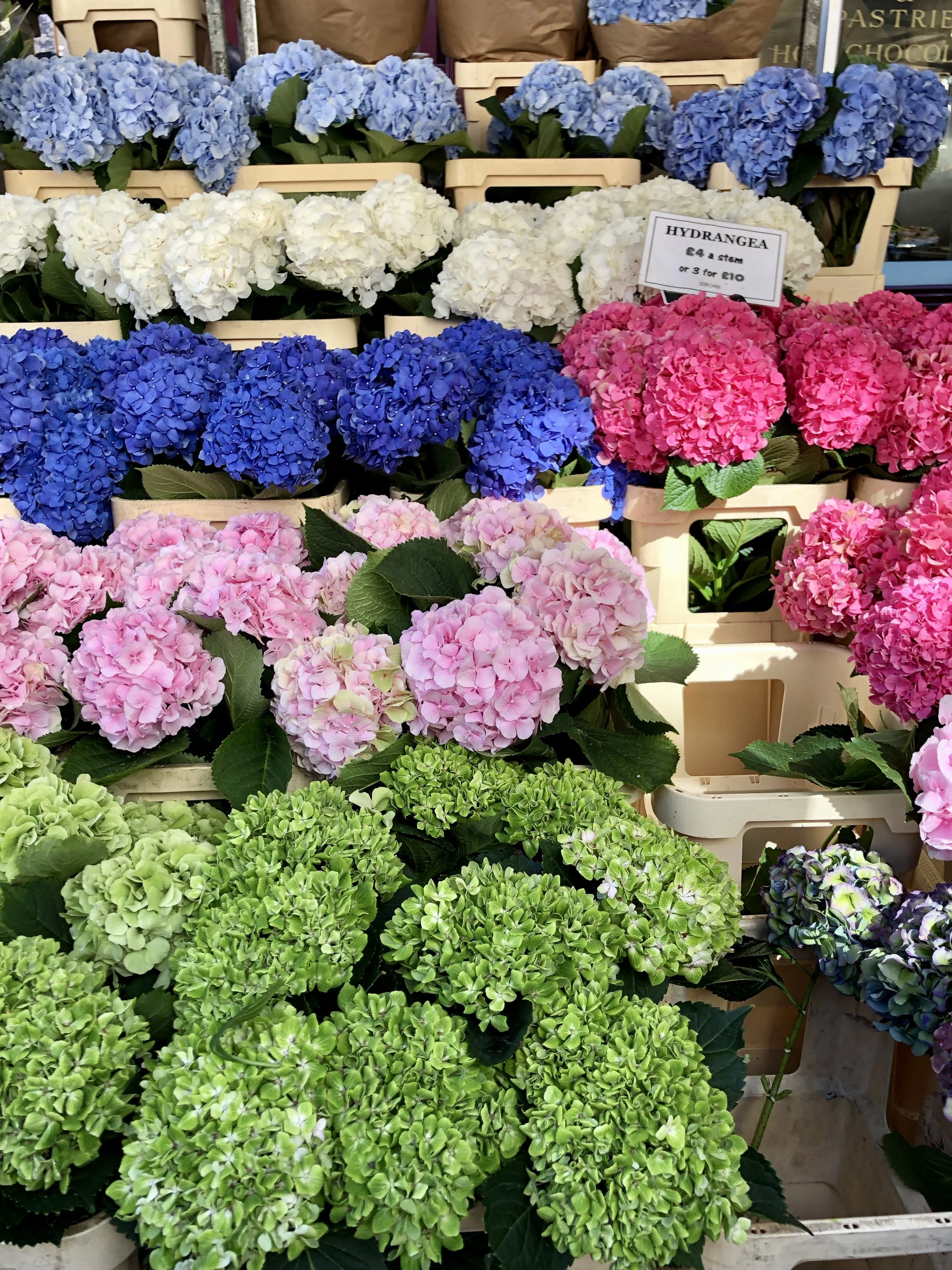 Columbia Road Flower Market