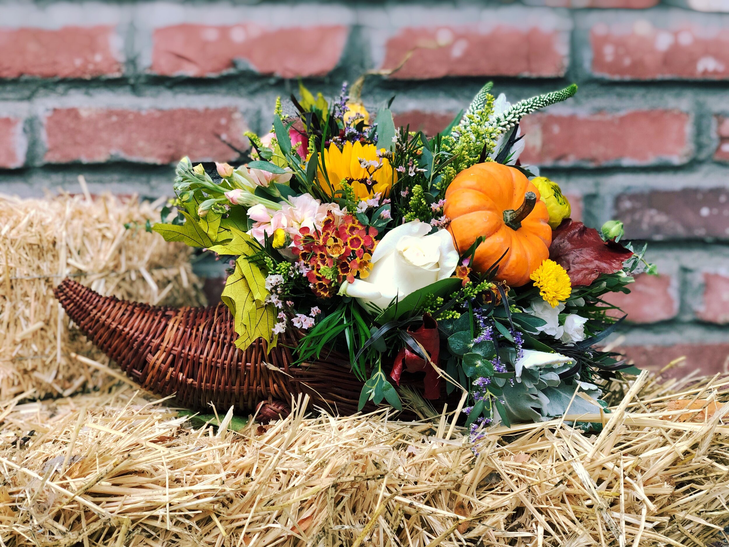 Overflowing Cornucopia