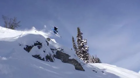 andrew_ski_large.jpg