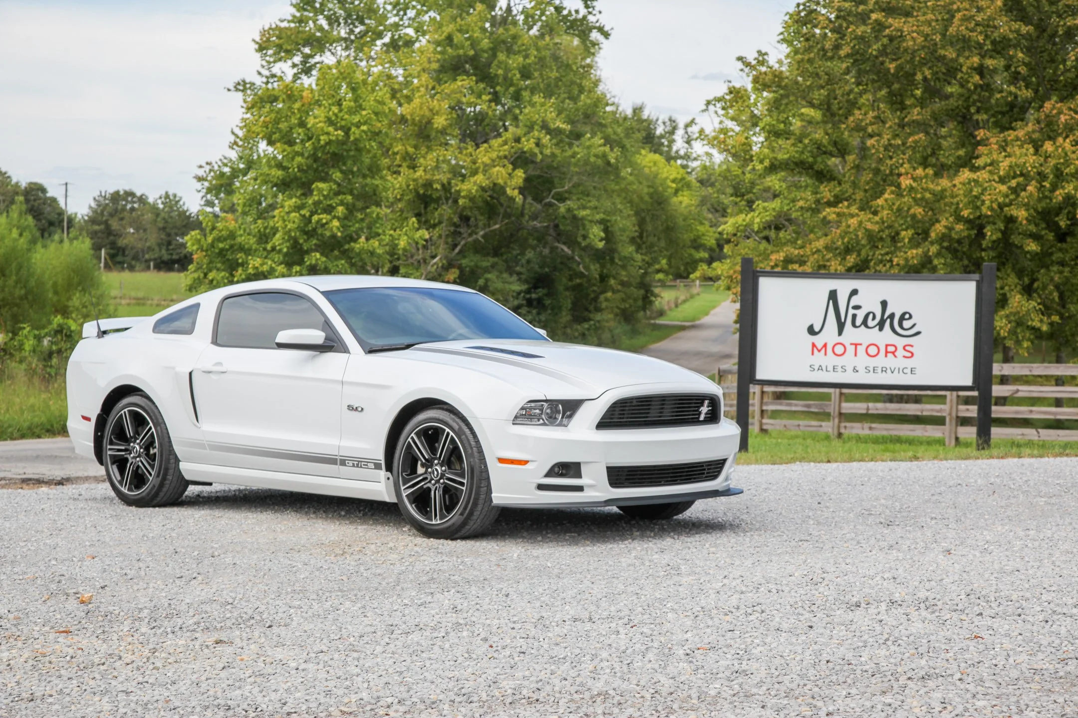 mustang.jpg