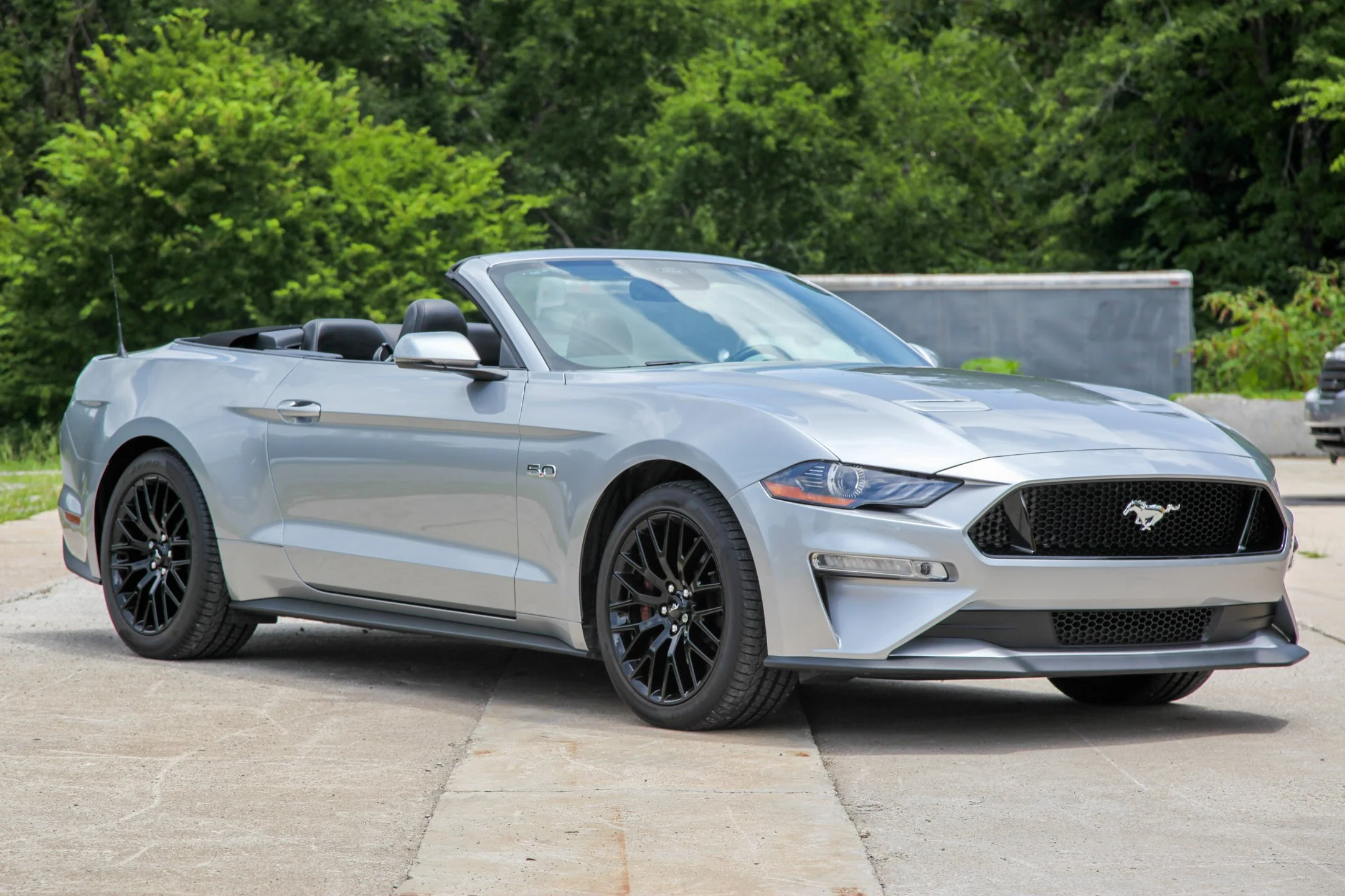 mustang.jpg