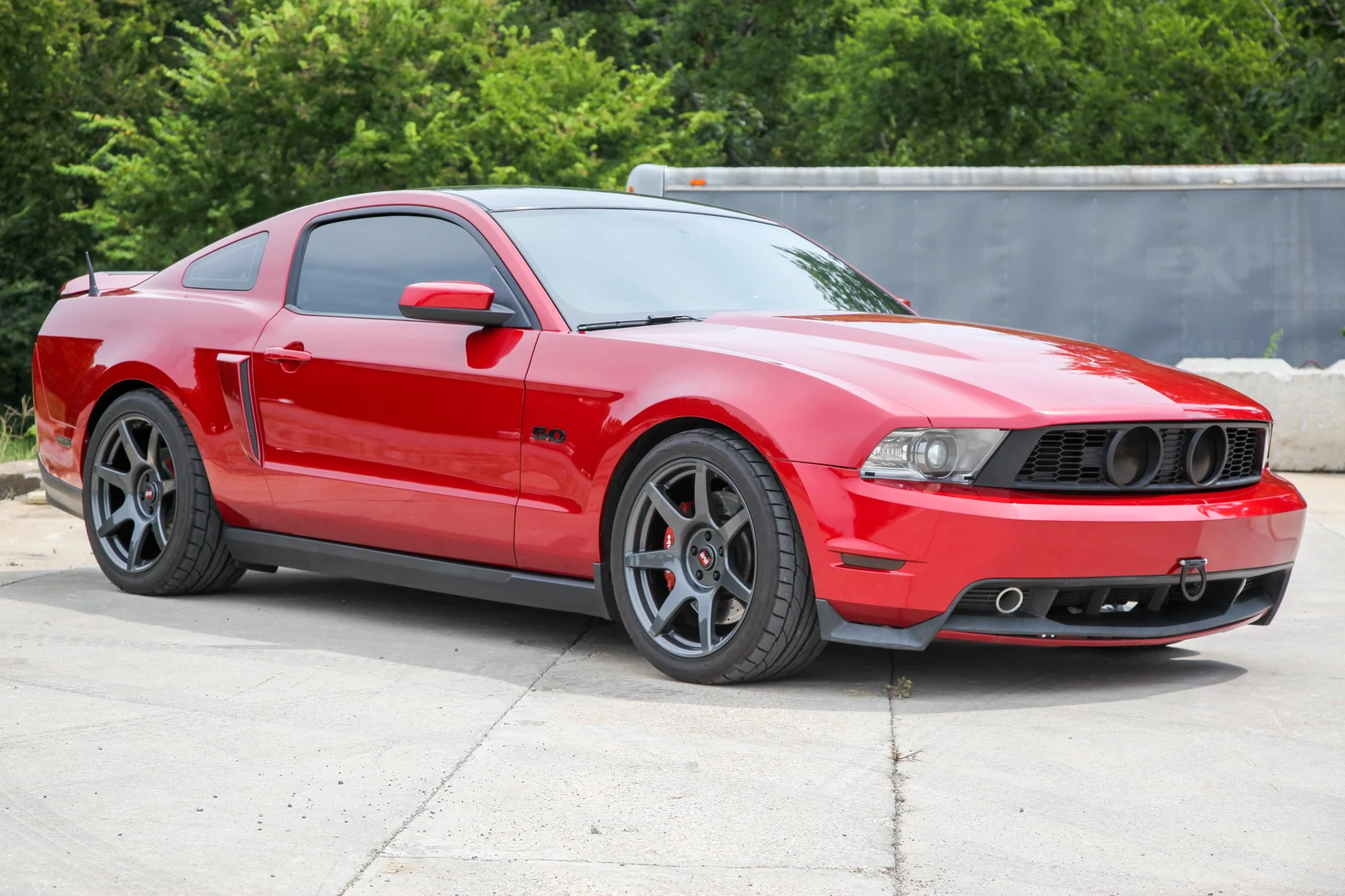 stang.jpg