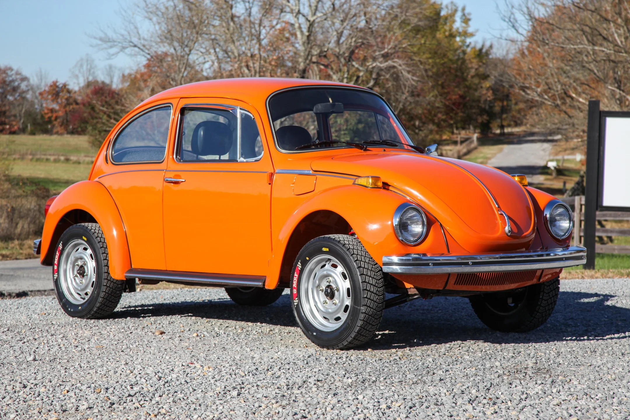 Beetle-2.jpg