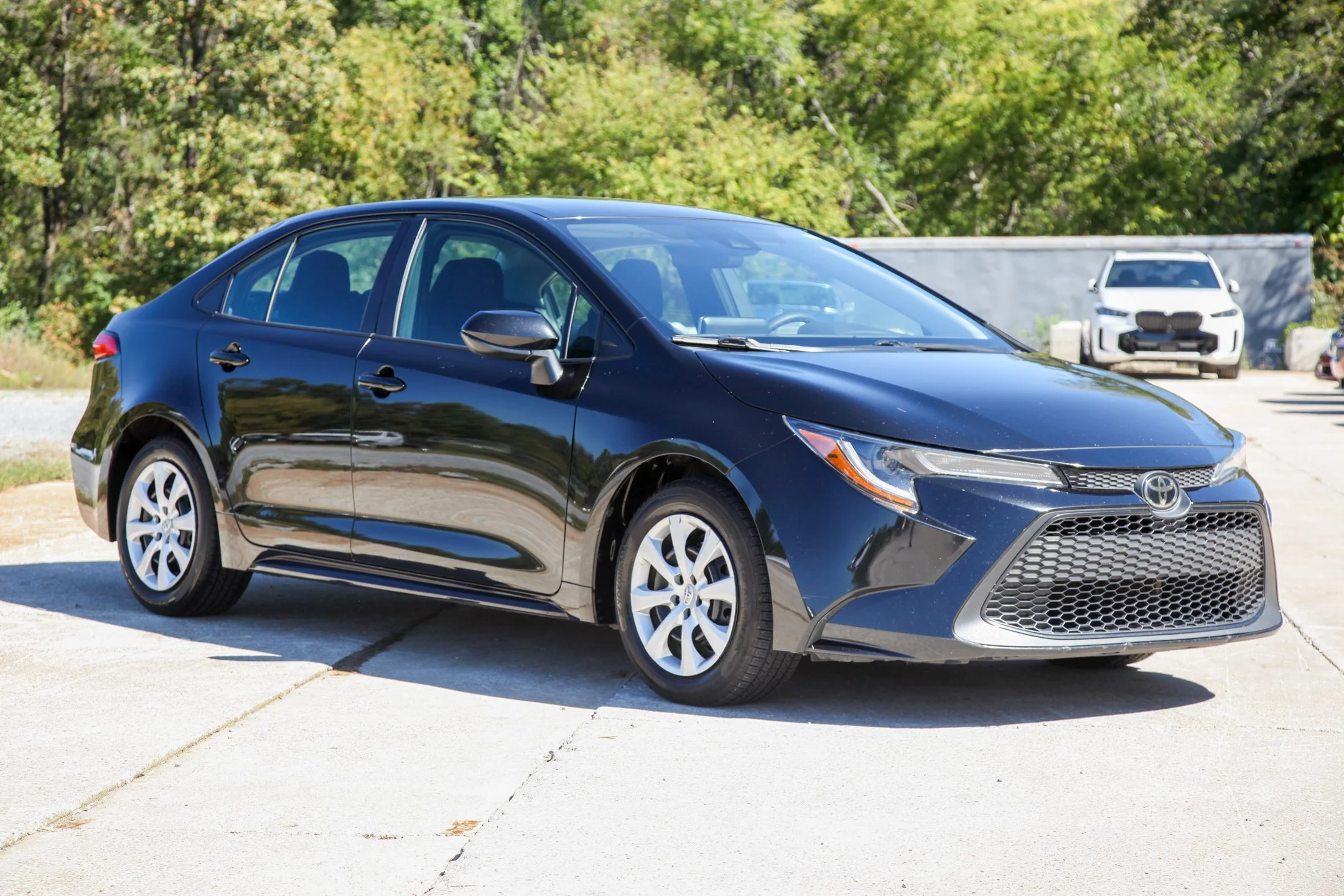 corolla.jpg