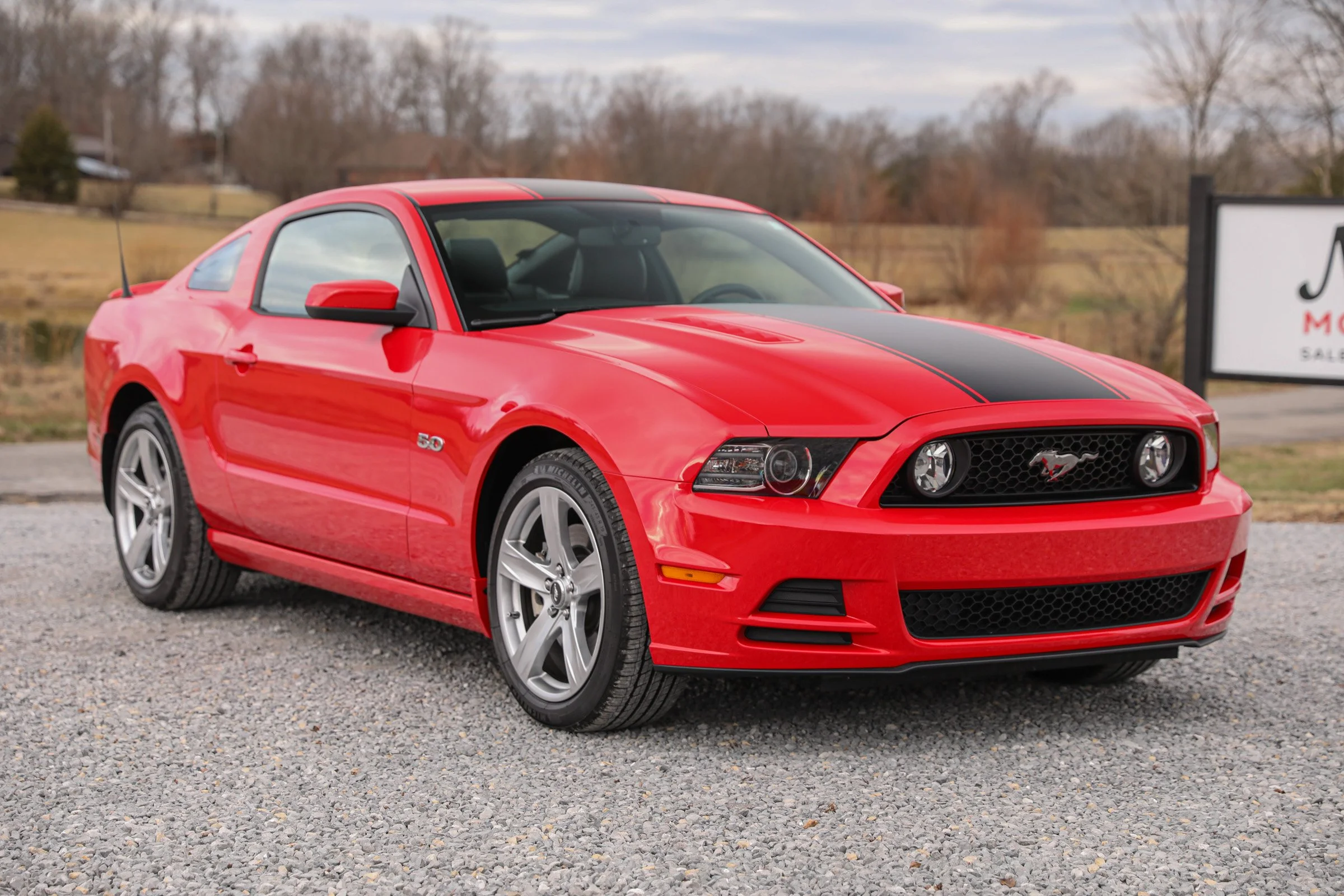 Mustang-01.jpg