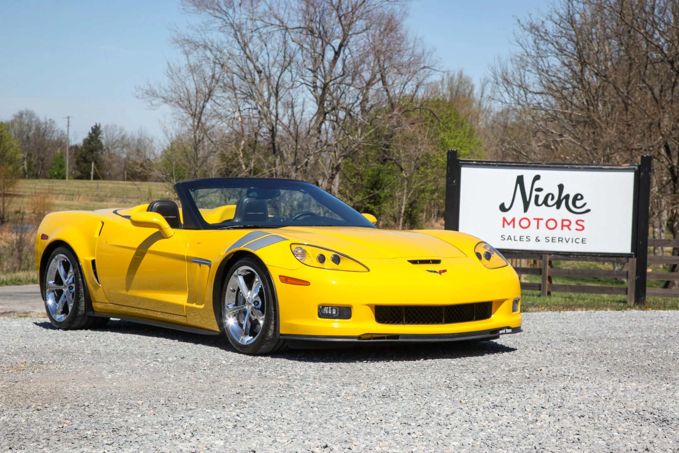 vette.jpg