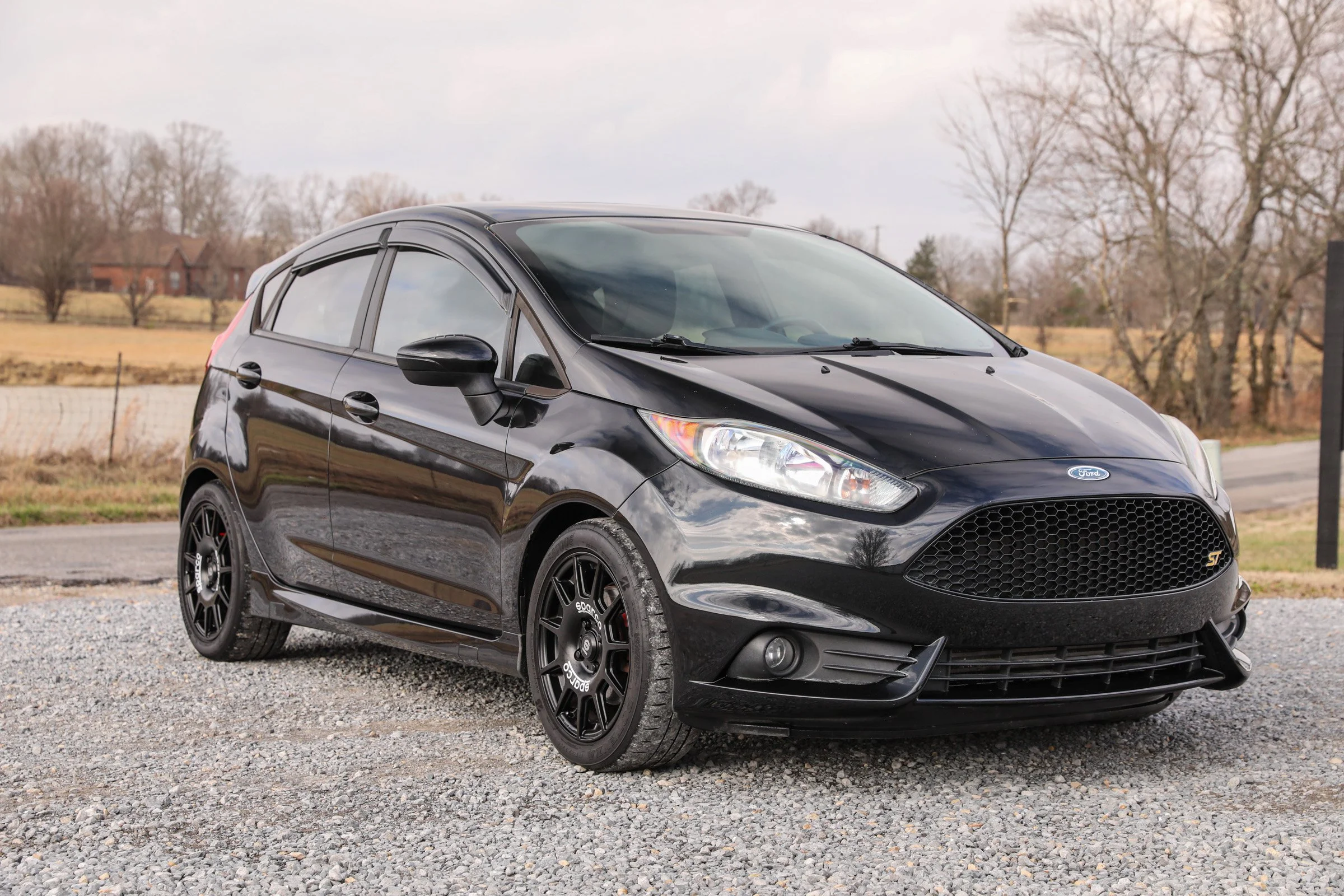 2015 Ford Fiesta ST's photo