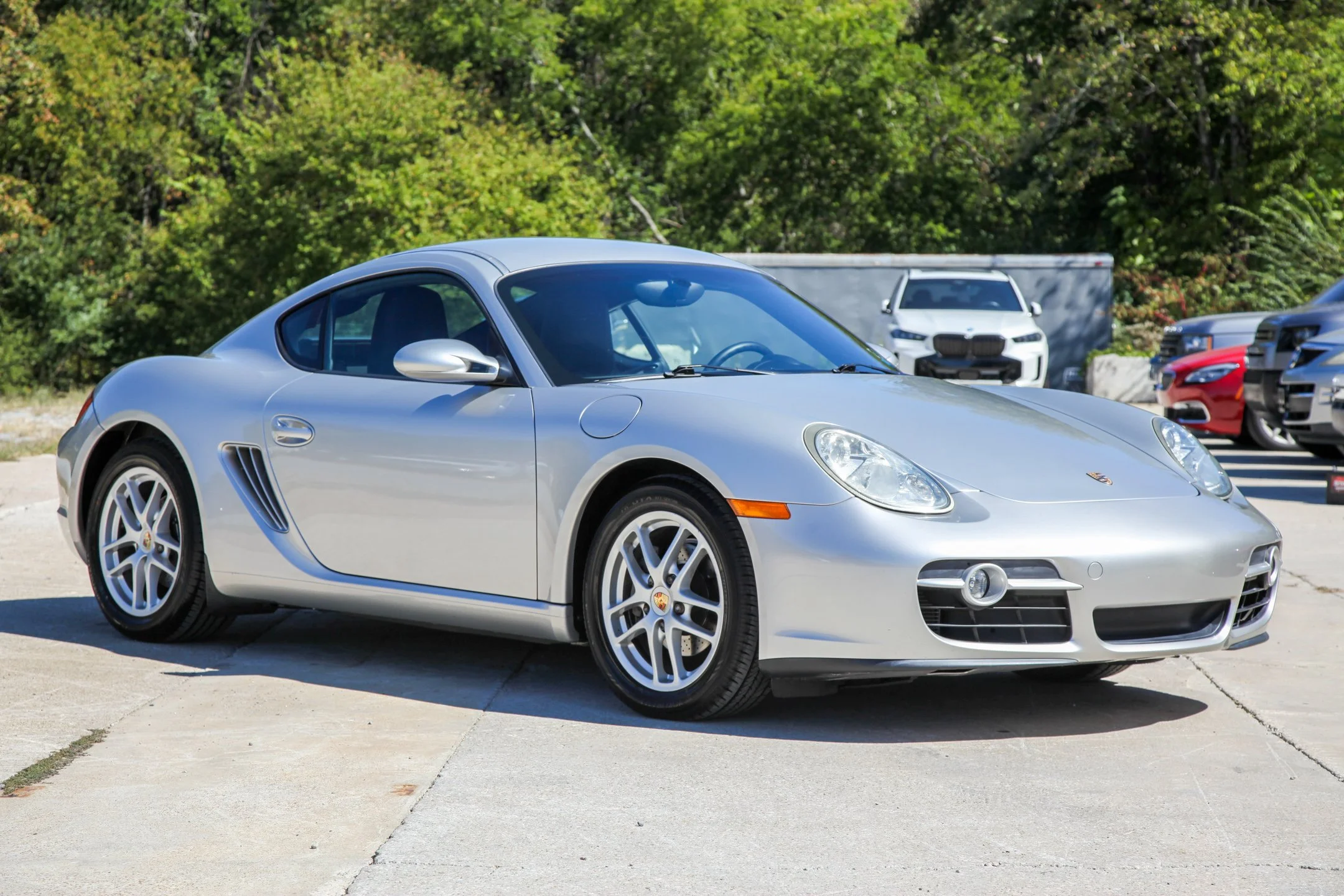 cayman.jpg