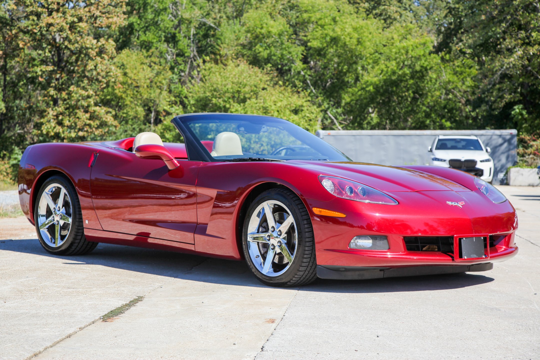 vette.jpg