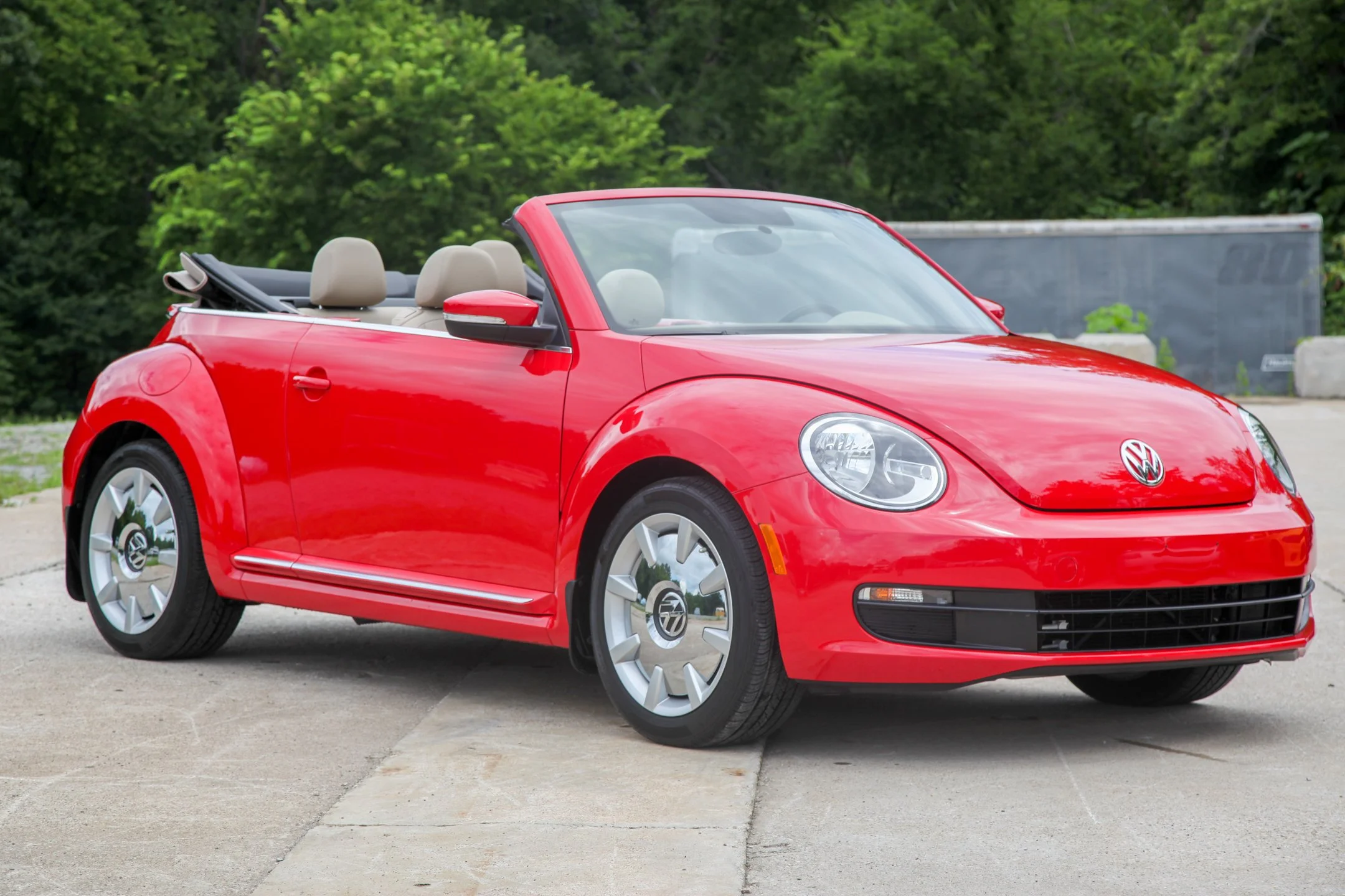 beetle.jpg