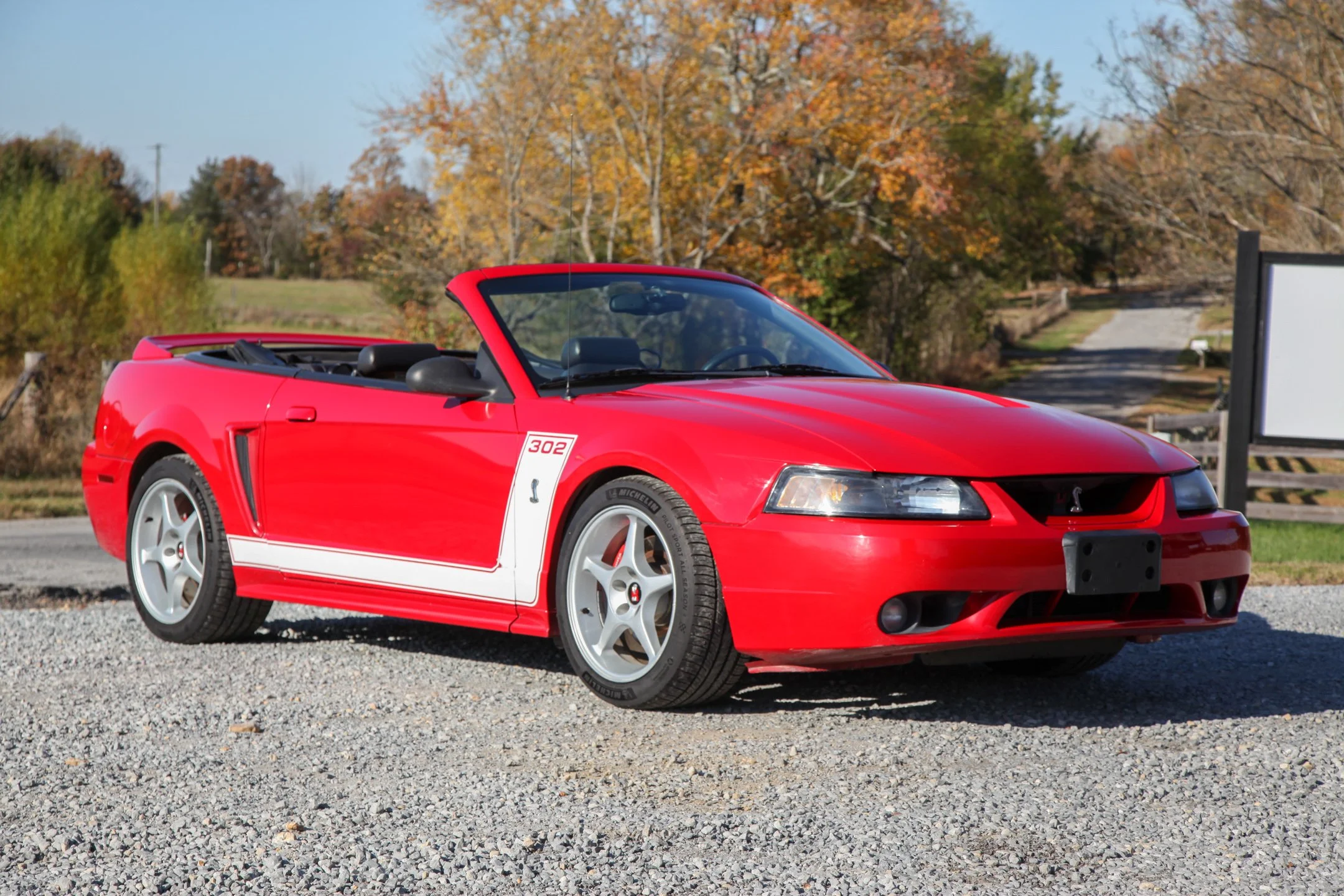 1999 Ford Mustang COBRA SVT's photo