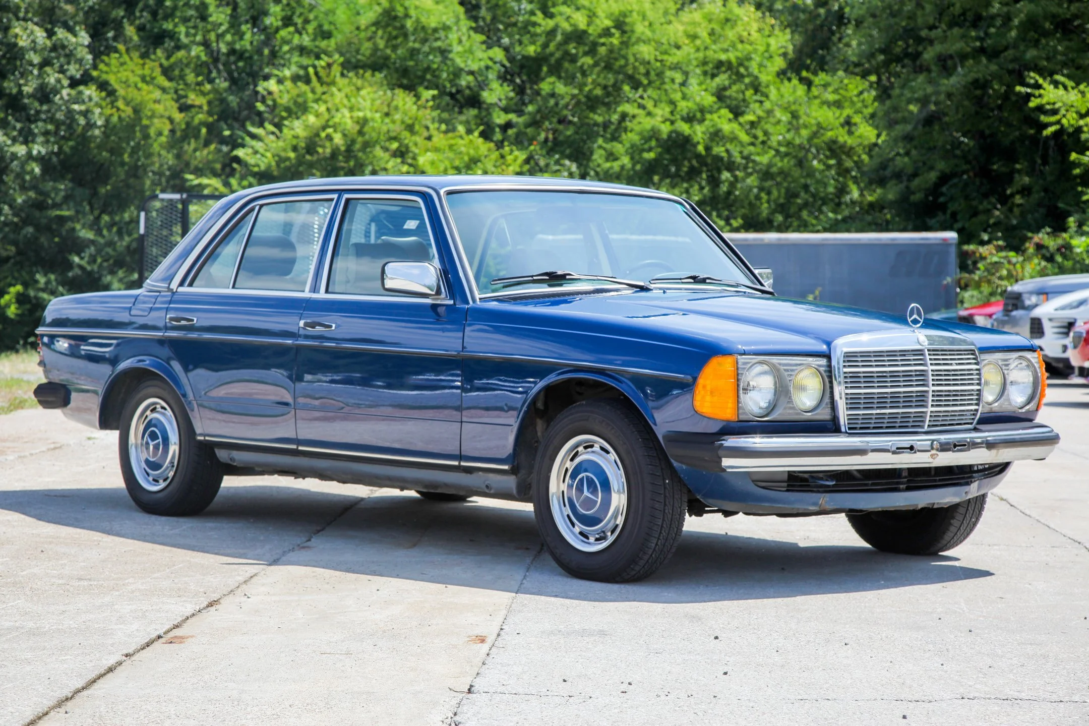 300d.jpg
