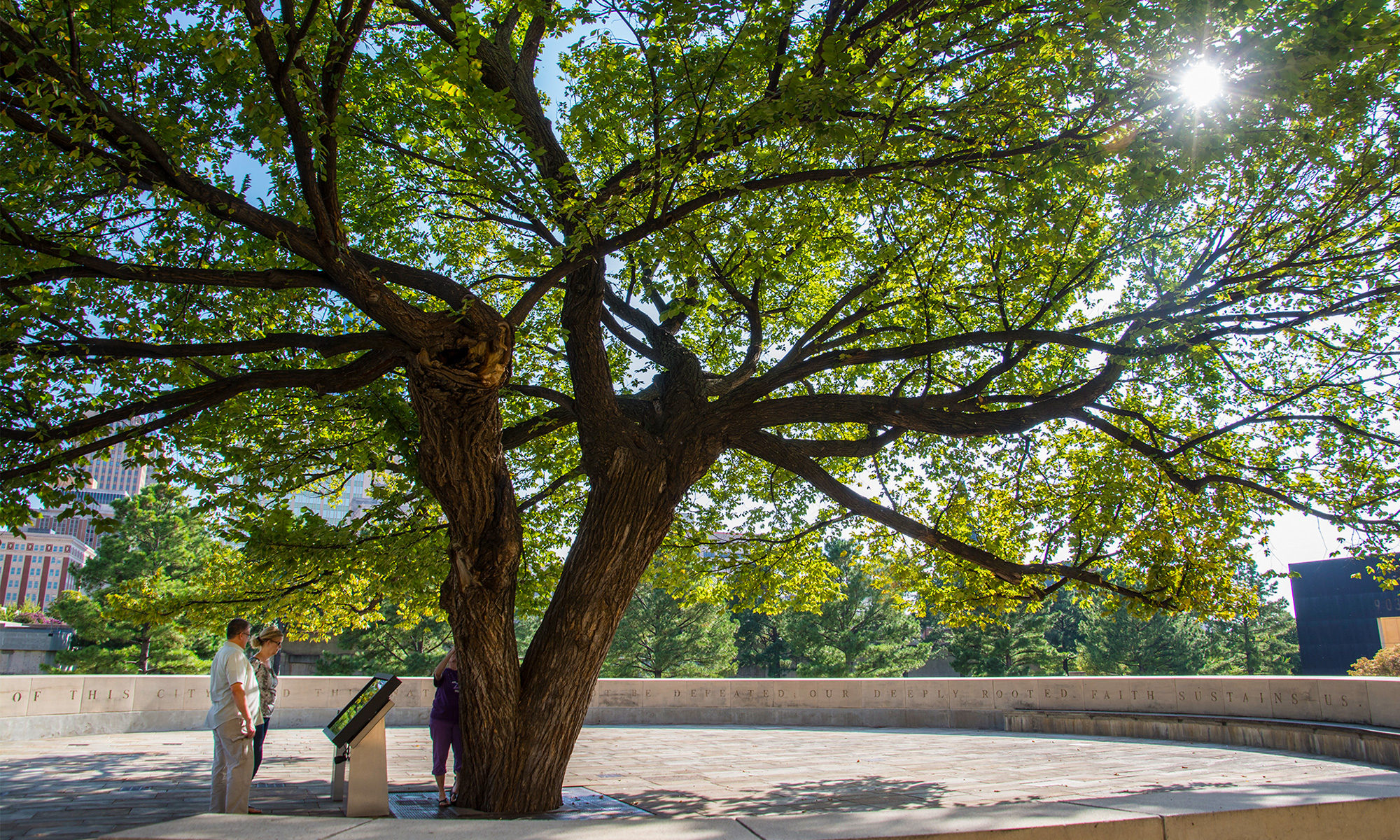 The Survivor Tree – Oklahoma City National Memorial & Museum