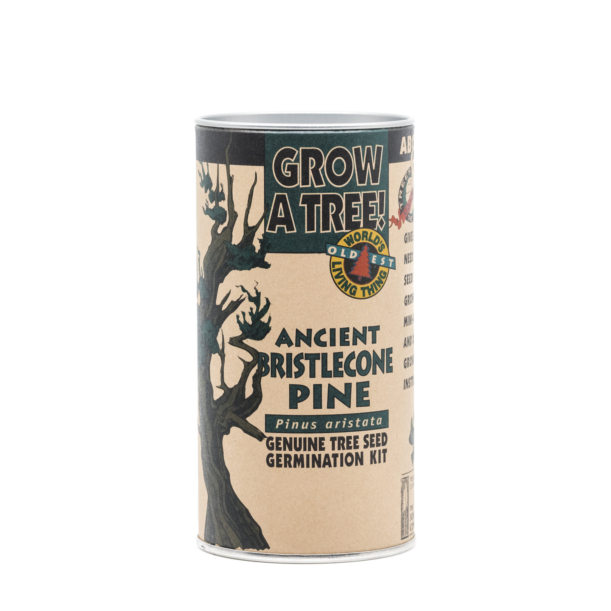 Ancient Bristlecone Pine | Seed Grow Kit | The Jonsteen Company