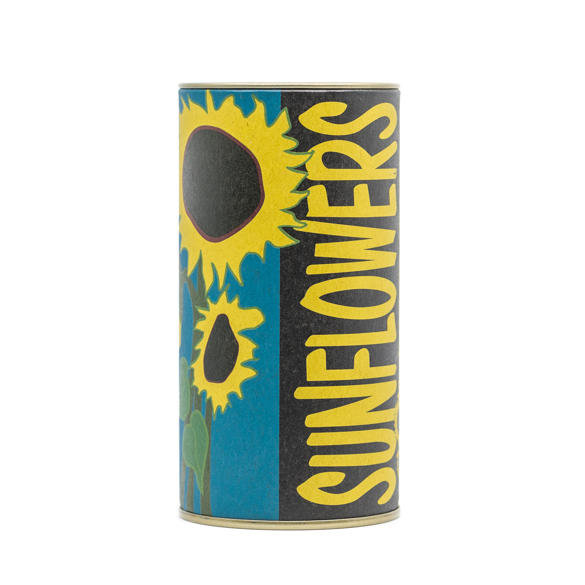 Sunflower | Flower Seed Kit | The Jonsteen Company
