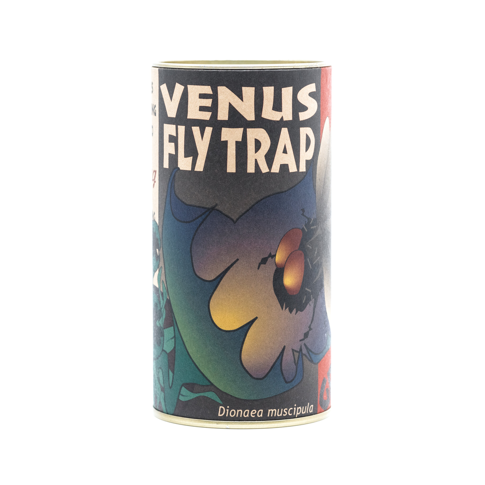 Venus Flytrap | Seed Grow Kit | The Jonsteen Company