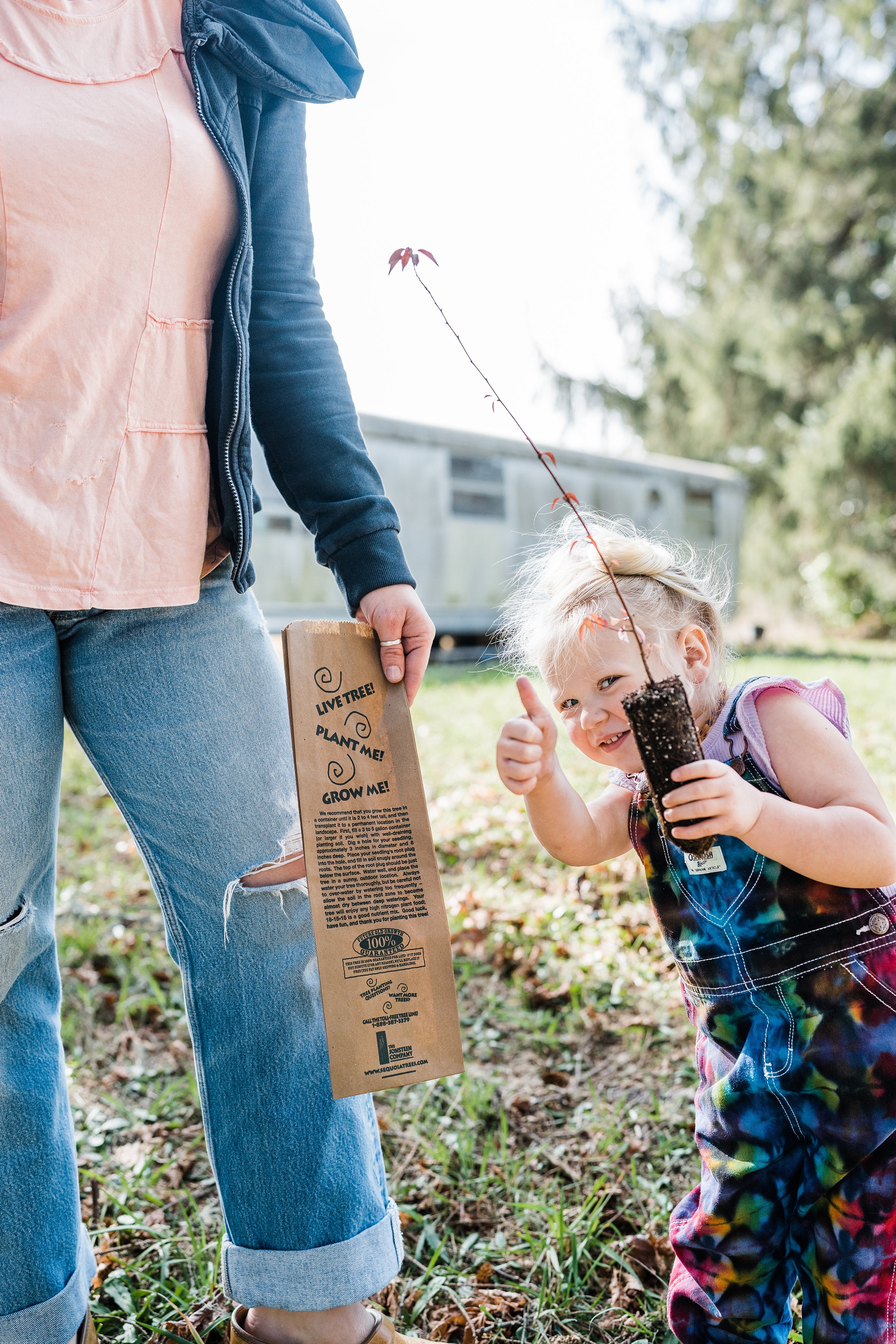 Kraft Bag Seedlings | The Jonsteen Company