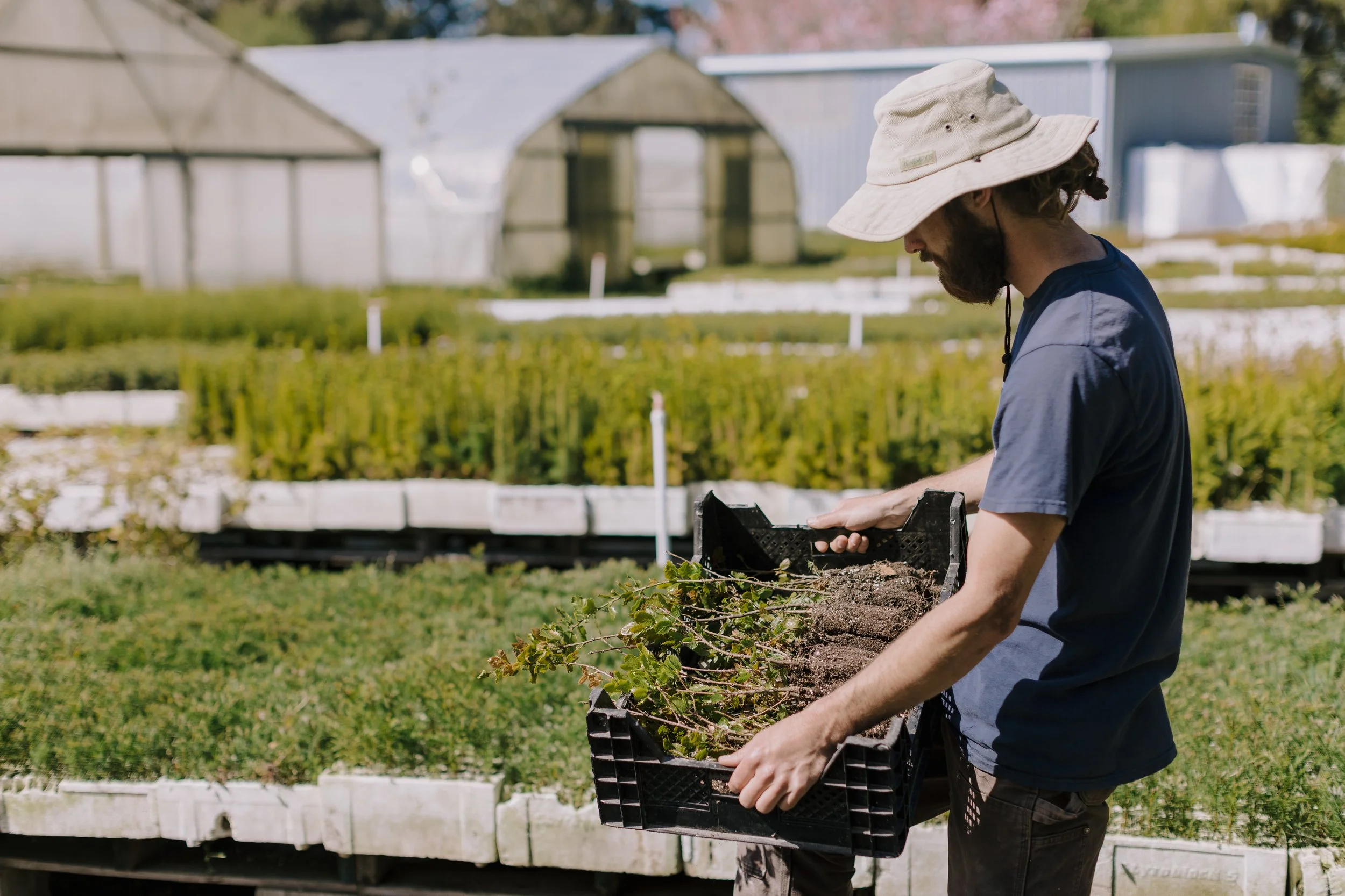 Tree Nursery | The Jonsteen Company