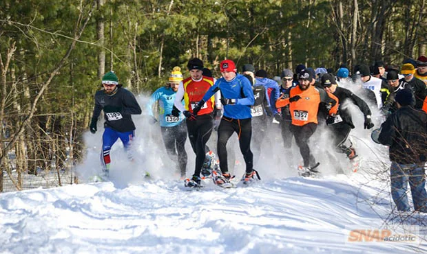Snowshoers deep snow.jpg