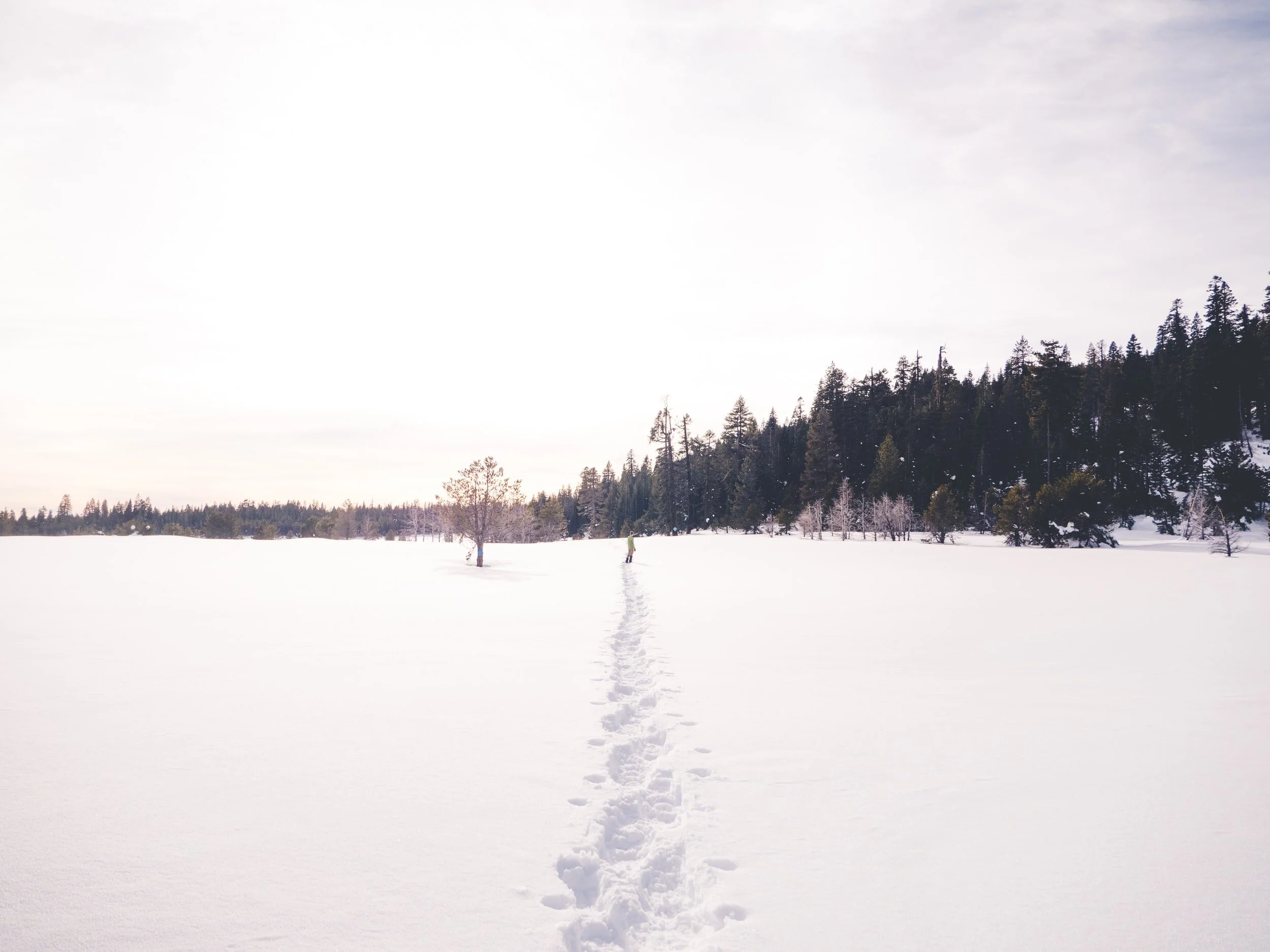 Snowshoe Canada Virtual Snowshoe Event — Registration is Now Open