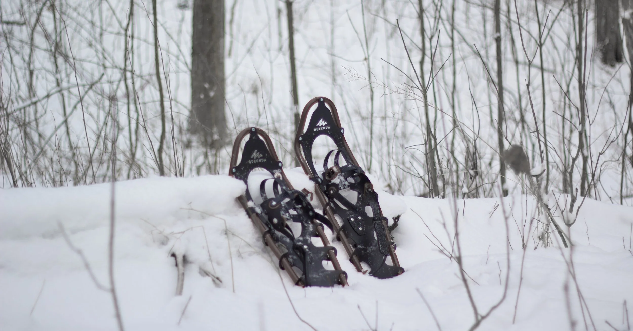 2024 Canadian Snowshoe Running Championships