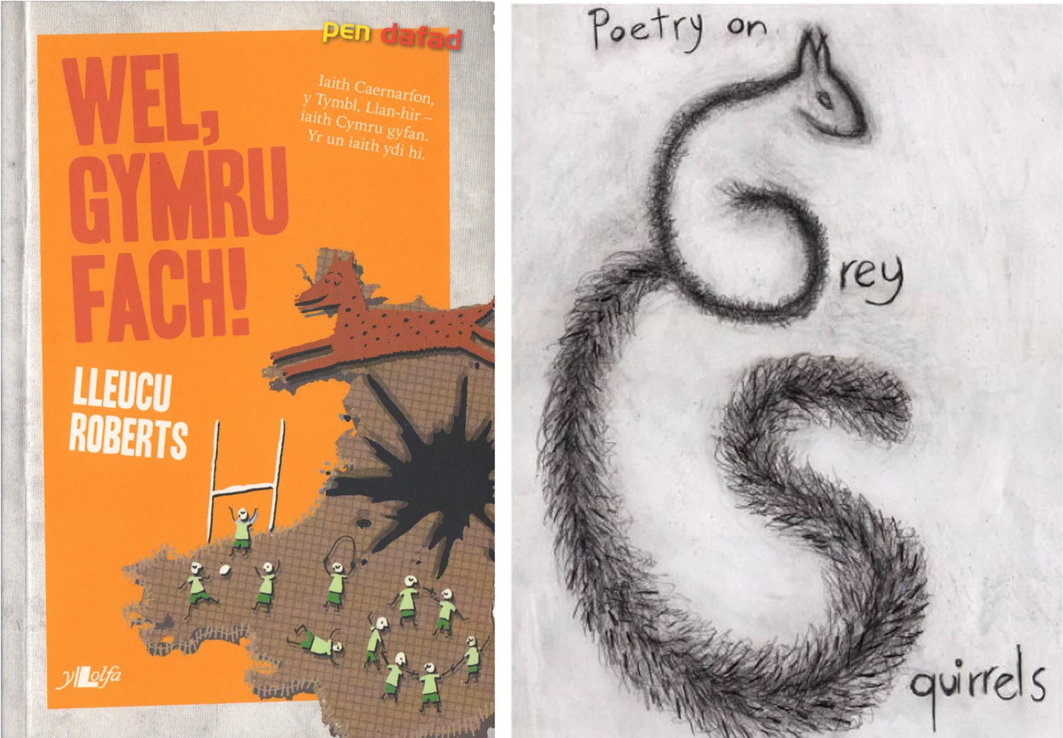 wel gymru&grey squirrels_bach.jpg