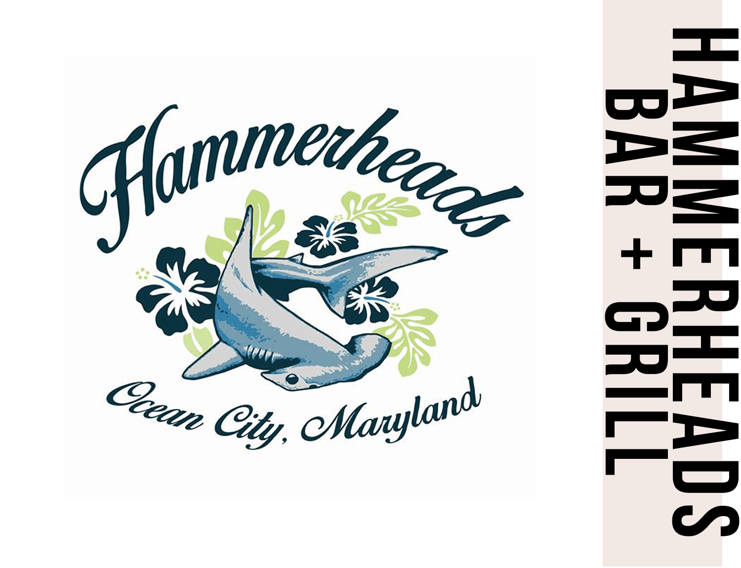 hammerheads1-min.png