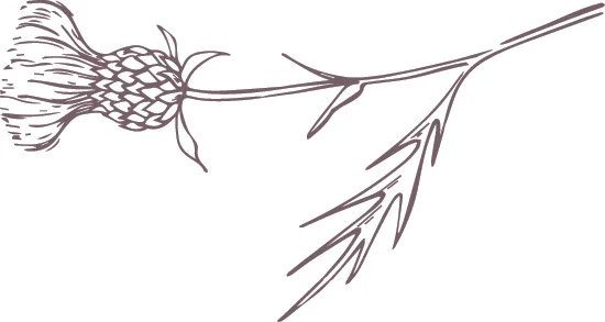 shelby robinson thistlewood photo thistle wood photography photographer